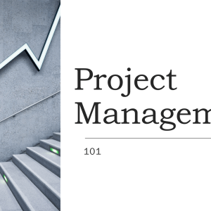 project management 101