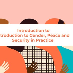 Introduction to Gender, Peace and Security in Practice